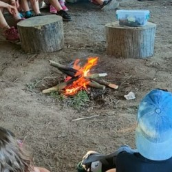 Bushcraft Adventures – Learning to survive in the wilderness