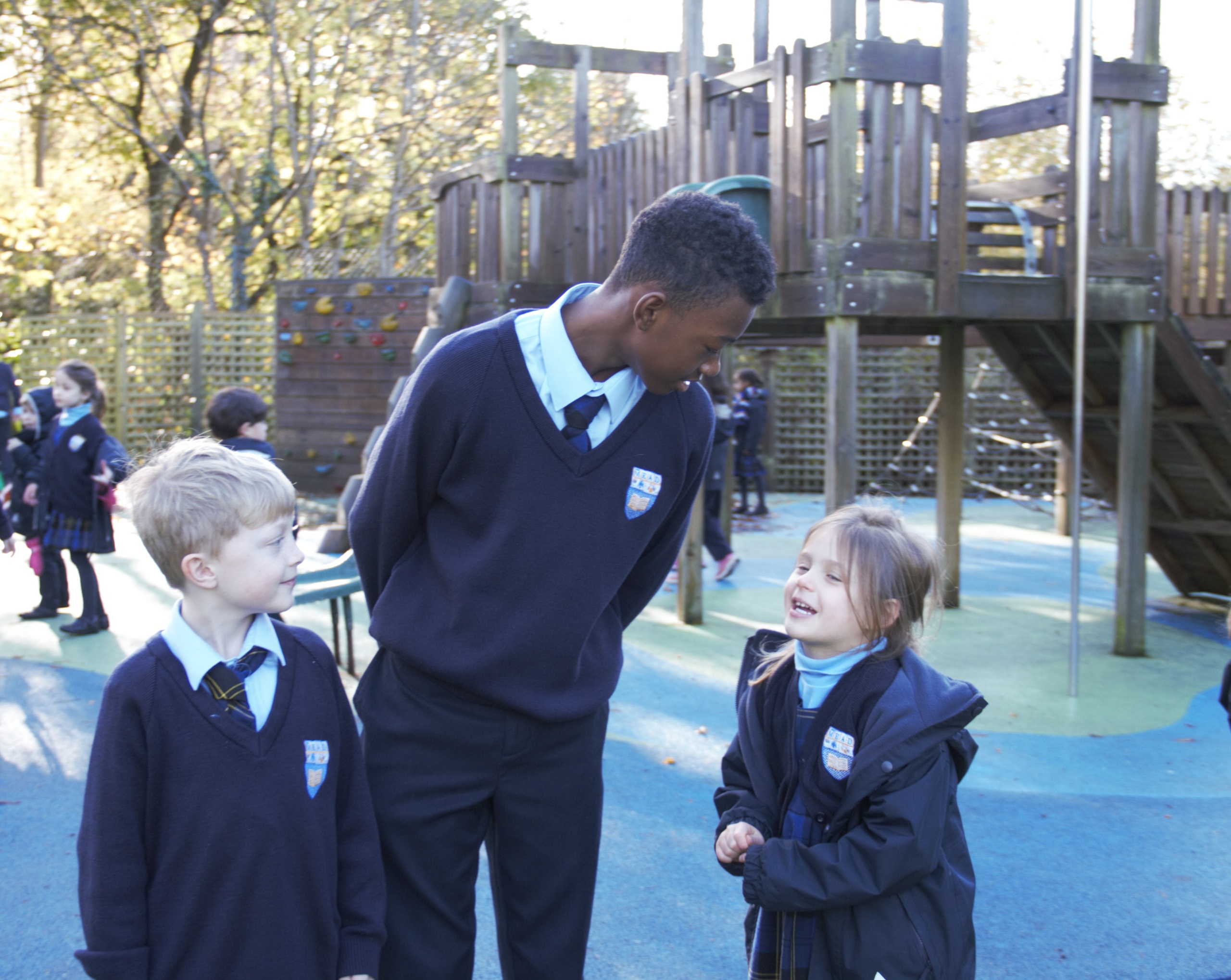 Spring into the New Year The Mead School