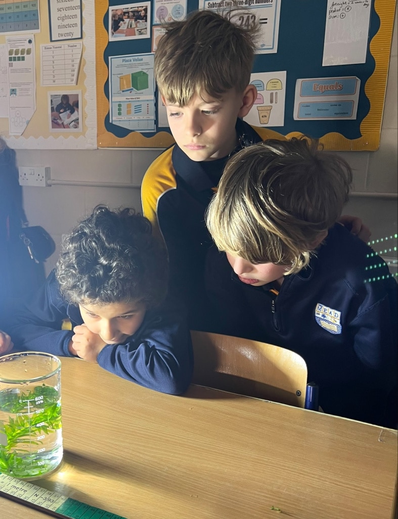 Pupils Step into the Shoes of Forensic Scientists for Science Week!